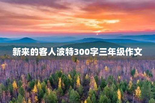 新来的客人波特300字三年级作文
