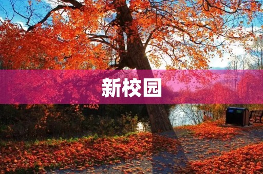新校园,新环境 新校园,新环境
