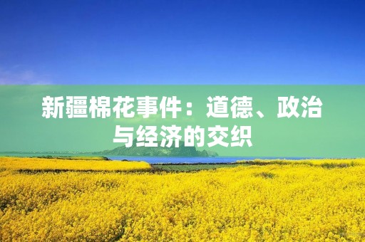 新疆棉花事件：道德、政治与经济的交织