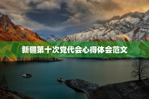 新疆第十次党代会心得体会范文