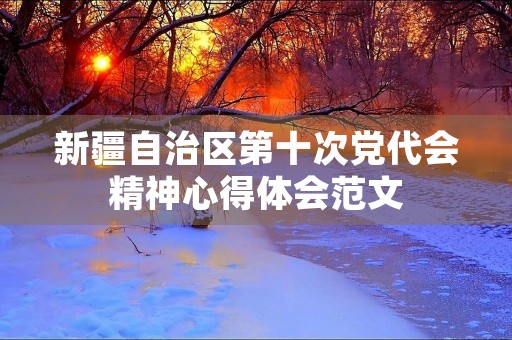 新疆自治区第十次党代会精神心得体会范文
