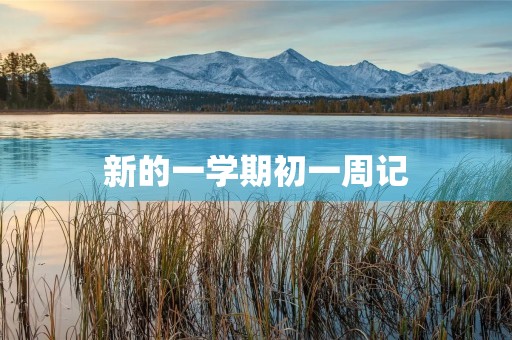 新的一学期初一周记