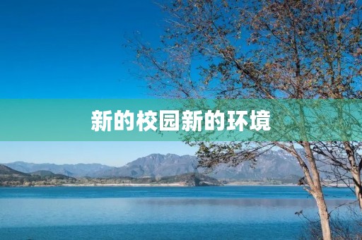 新的校园新的环境