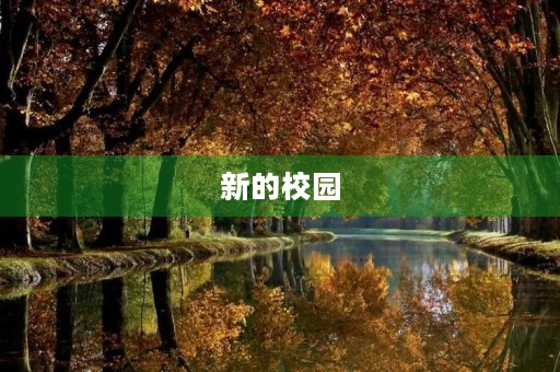 新的校园,新的环境,新的开始 新的校园,新的环境,新的开始