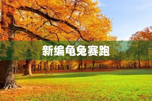 新编龟兔赛跑