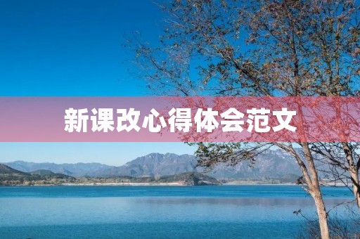 新课改心得体会范文