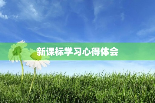 新课标学习心得体会 新课标学习心得体会