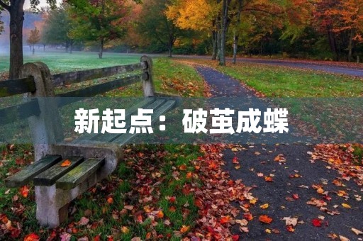 新起点：破茧成蝶