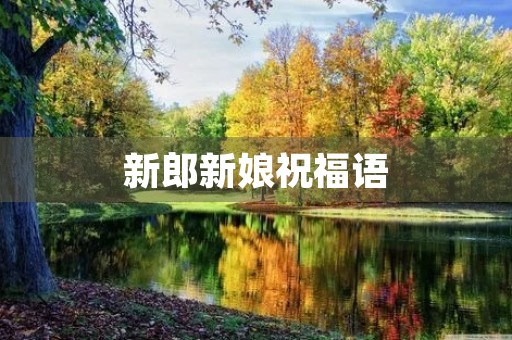 新郎新娘祝福语,祝福语的写作和读后感
