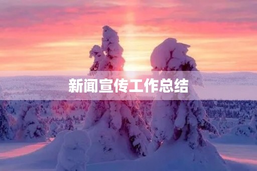 新闻宣传工作总结