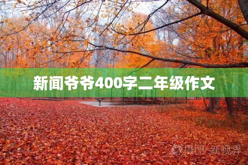 新闻爷爷400字二年级作文