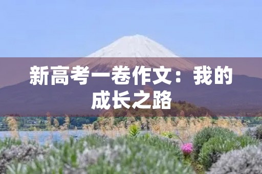 新高考一卷作文：我的成长之路