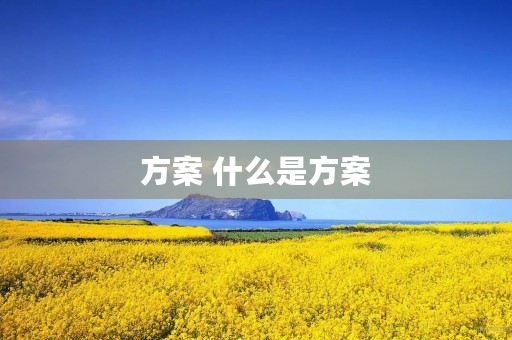 方案 什么是方案 方案 什么是方案