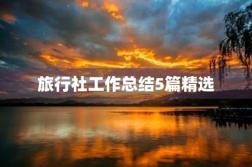 旅行社工作总结5篇精选