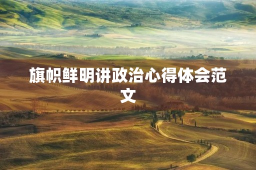 旗帜鲜明讲政治心得体会范文