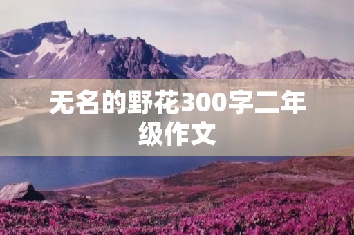 无名的野花300字二年级作文