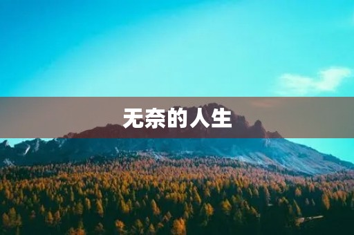 无奈的人生，无望的未来