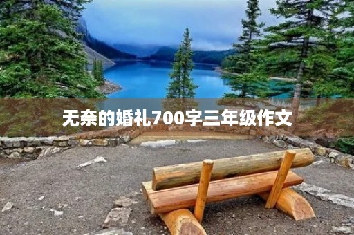 无奈的婚礼700字三年级作文 无奈的婚礼700字三年级作文