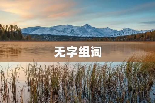 无字组词(无组词)