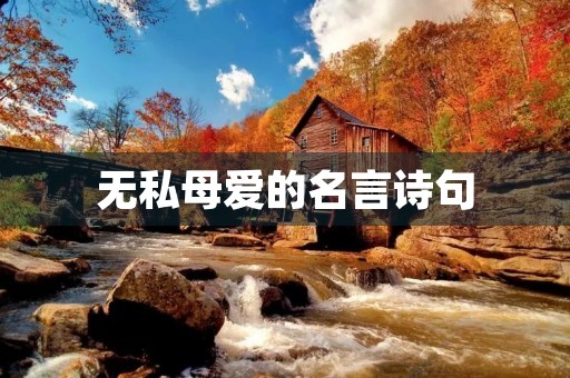 无私母爱的名言诗句，关于无私母爱的诗句有哪些