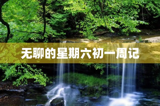 无聊的星期六初一周记