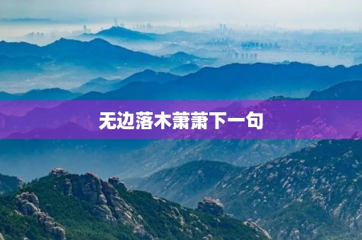无边落木萧萧下一句，无边落木萧萧下一句中的落木可否改成落叶为什么