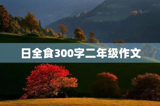 日全食300字二年级作文