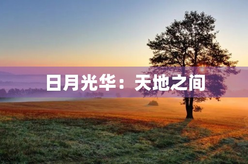 日月光华：天地之间，日月光华照耀着我们的世界，给予人类无尽的温暖和希望。成语中有许多描写日月的成语，它们以独特的方式展现了日月的美丽与伟大。