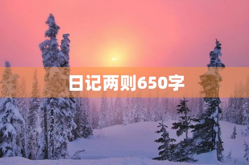 日记两则650字