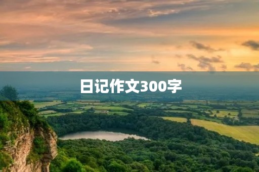 日记作文300字