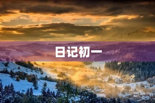 日记初一 日记初一
