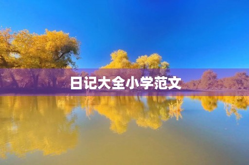 日记大全小学范文