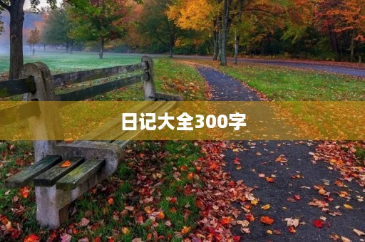 日记大全300字