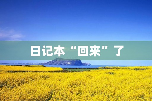 日记本“回来”了 日记本“回来”了