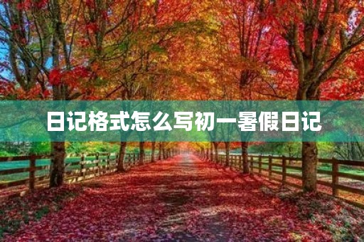 日记格式怎么写初一暑假日记 日记格式怎么写初一暑假日记