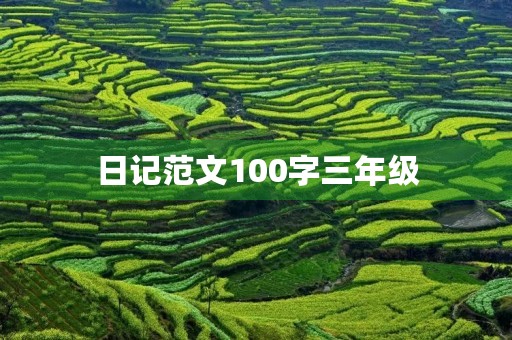 日记范文100字三年级