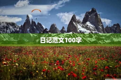 日记范文100字