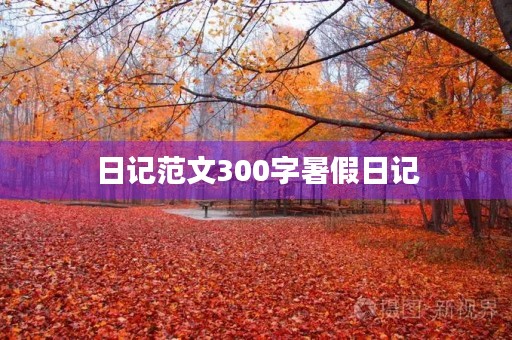 日记范文300字暑假日记 日记范文300字暑假日记