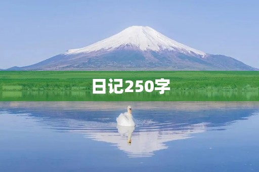 日记250字