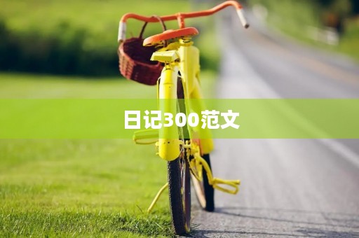 日记300范文
