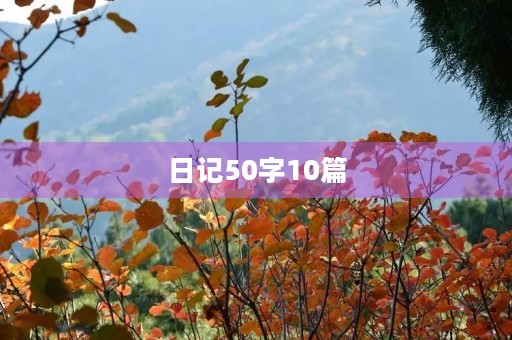 日记50字10篇 日记50字10篇