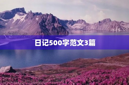 日记500字范文3篇