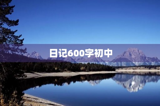 日记600字初中