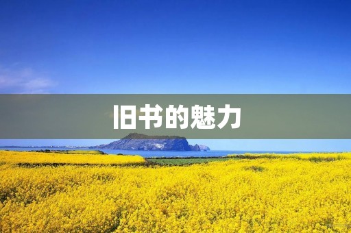 旧书的魅力 旧书的魅力