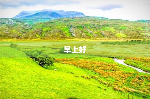 早上好,每天都要送上的祝福语