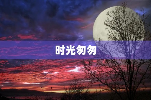 时光匆匆，而我们的故事并没有结束
