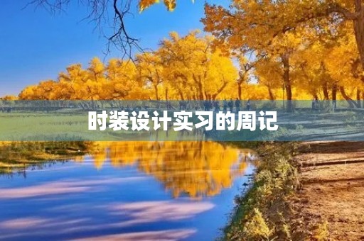 时装设计实习的周记