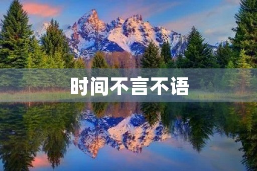 时间不言不语，时间不言不语下一句