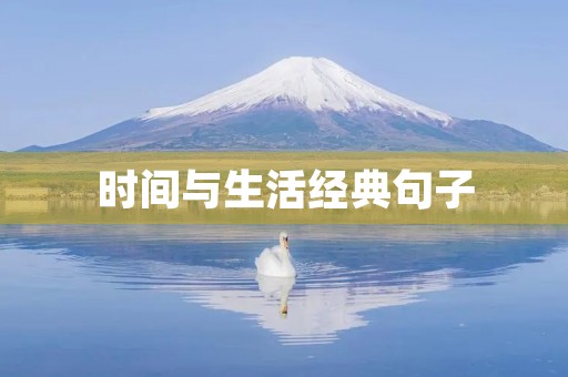 时间与生活经典句子(生活感悟经典句子)