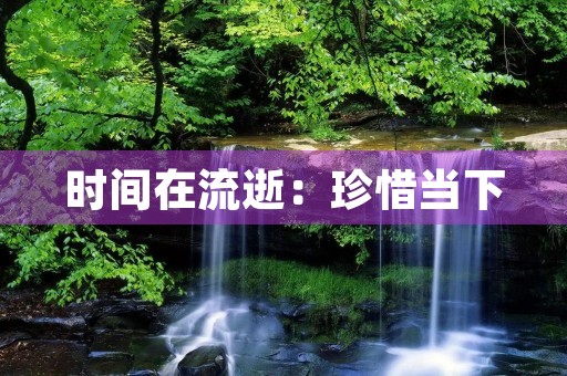 时间在流逝:珍惜当下,把握未来 时间在流逝:珍惜当下,把握未来